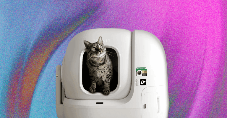 The20Best20Automatic20Cat20Litter20Boxes.png
