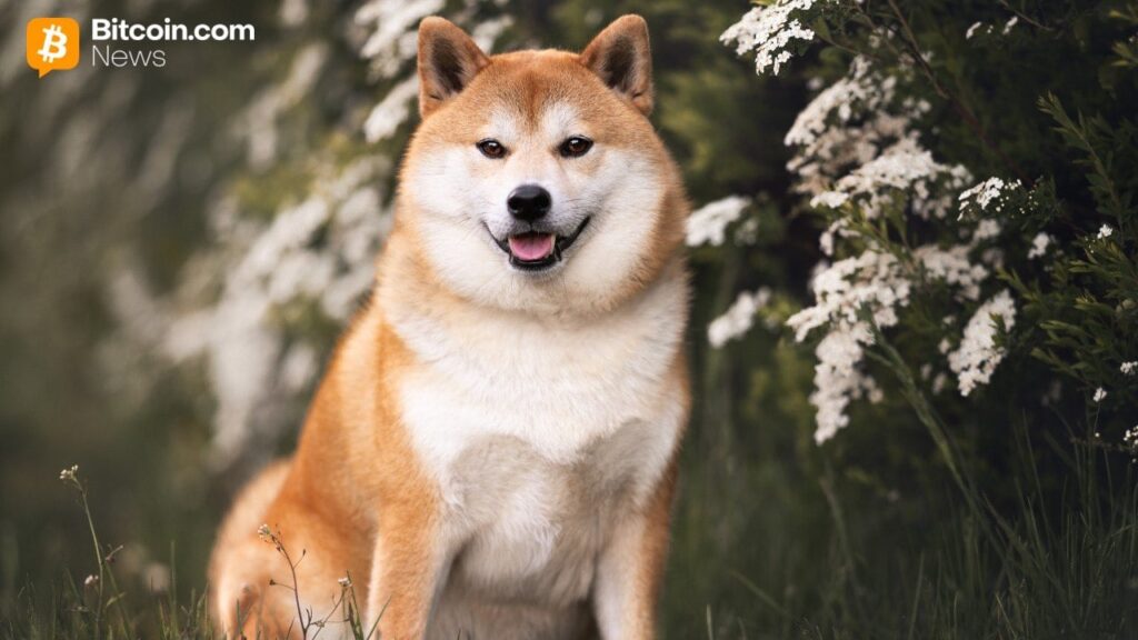 bitwise-dogecoin-etf.jpg
