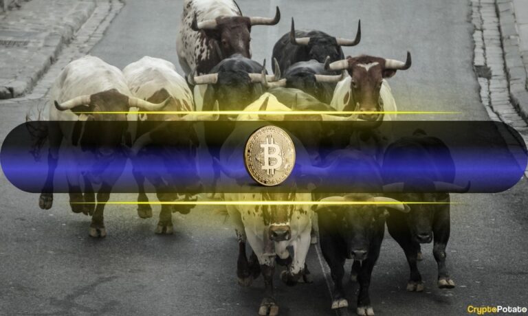bitcoin_bulls_cover.jpg