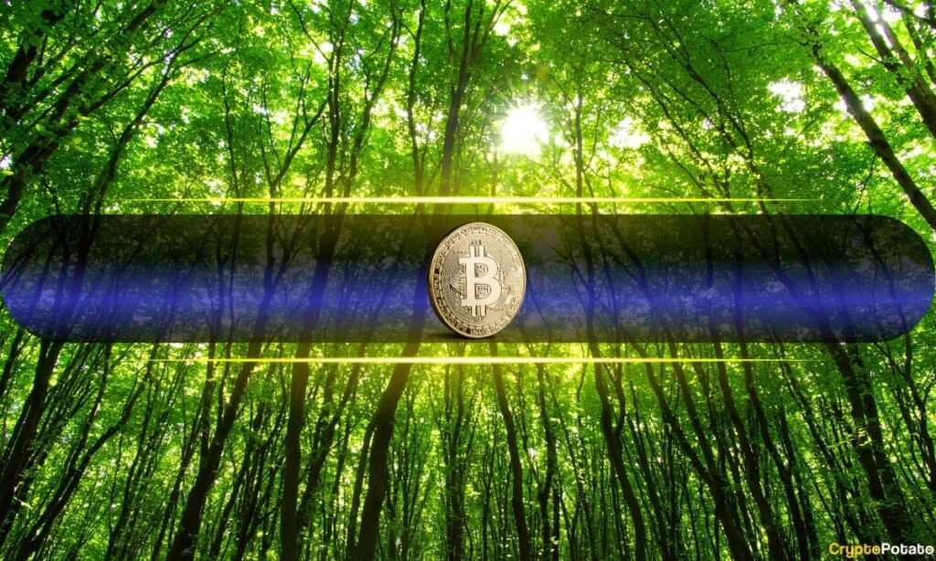 bitcoin_green_cover.jpg