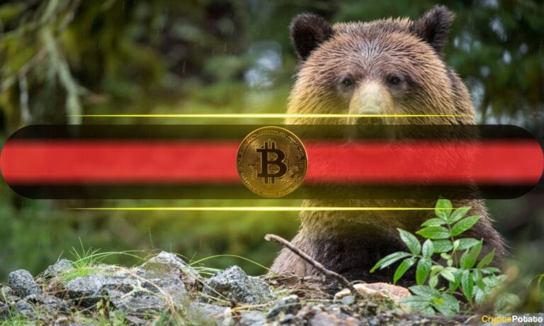Bitcoin_Bear.jpg