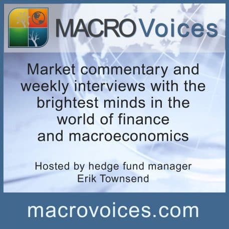 macro-voices-cover-457x457.jpg