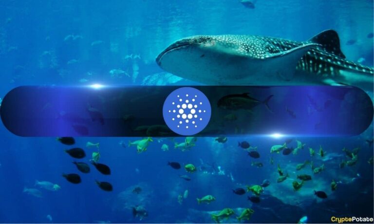 Cardano_Whale.jpg