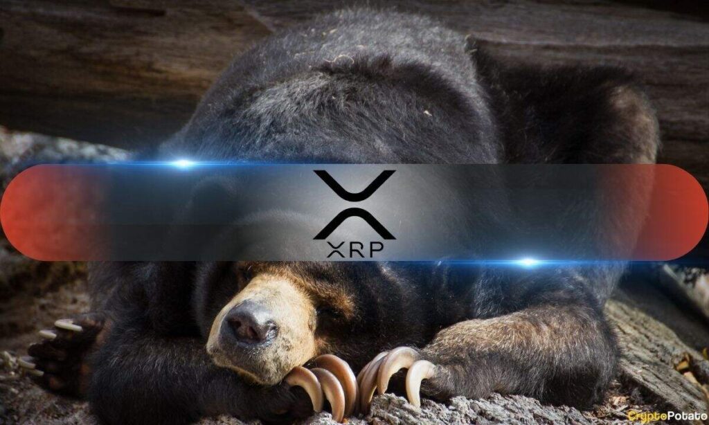 RIppleXRP_Bear.jpg