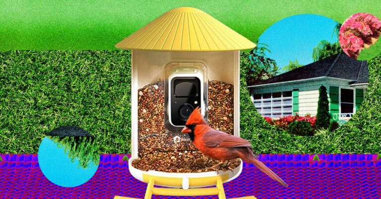 The-Best-Smart-Bird-Feeders-for-Backyard-Birding.jpg