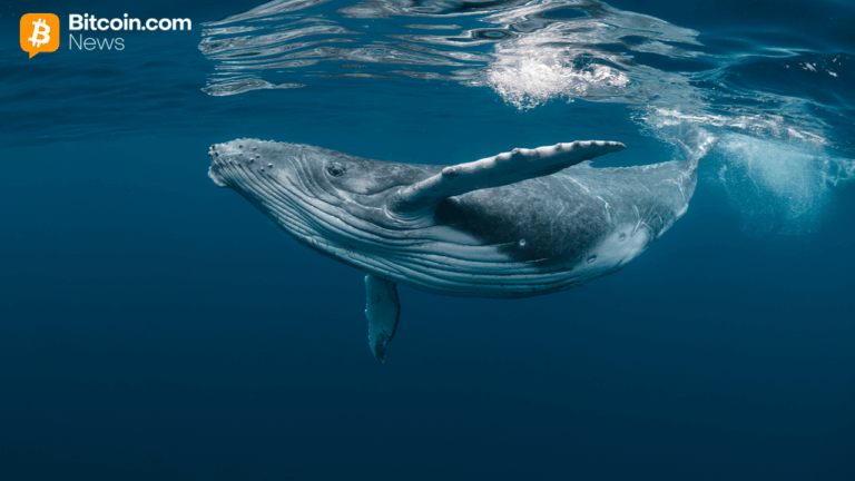 2013-bitcoin-whale-wallet-transfers-500-btc-after-12-years-of-dormancy.png