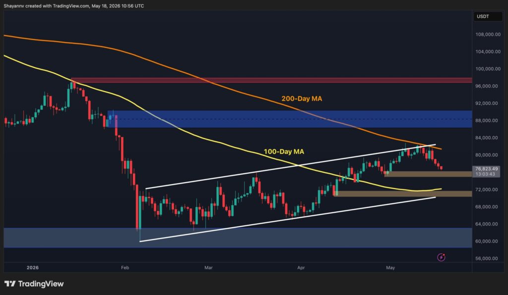 BTC-D-8-scaled.jpg