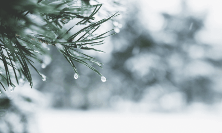 Crypto_Winter.png