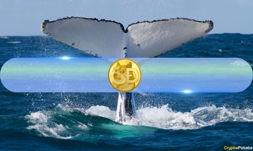 Dogecoin_Whale.jpg