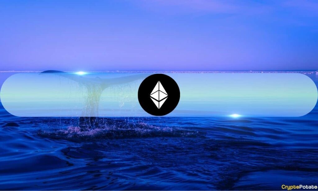 Ethereum_Whale.jpg