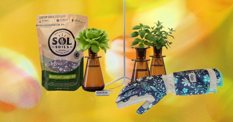 The-15-Best-Gifts-for-Plant-Lovers-and-Gardeners.jpg
