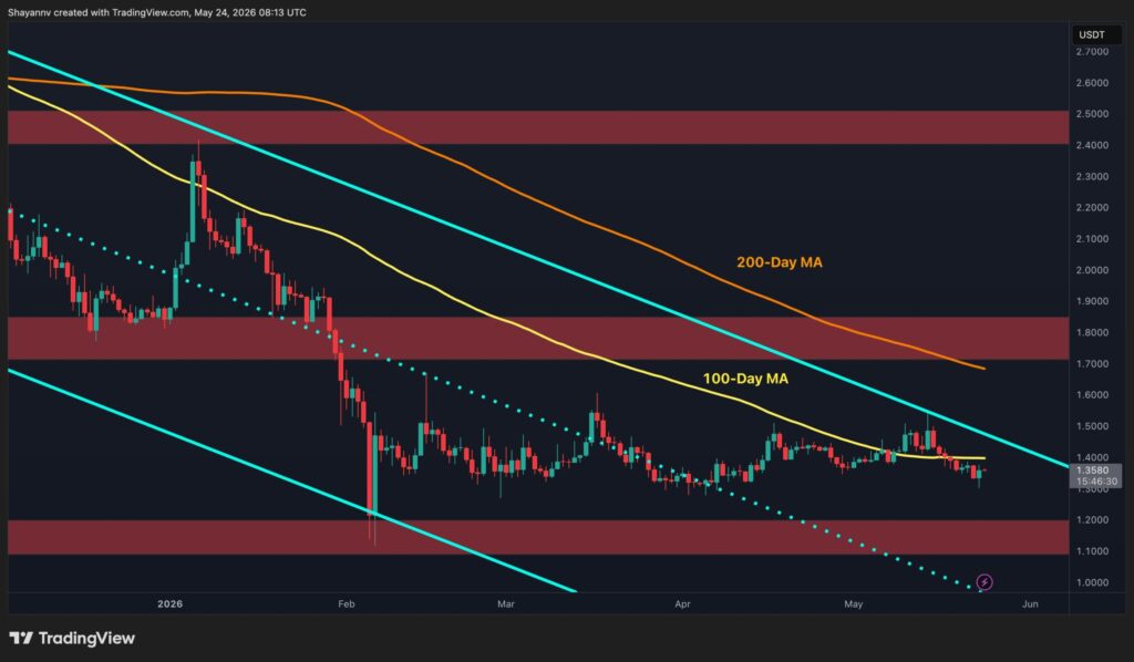 XRP-D-2-scaled.jpg