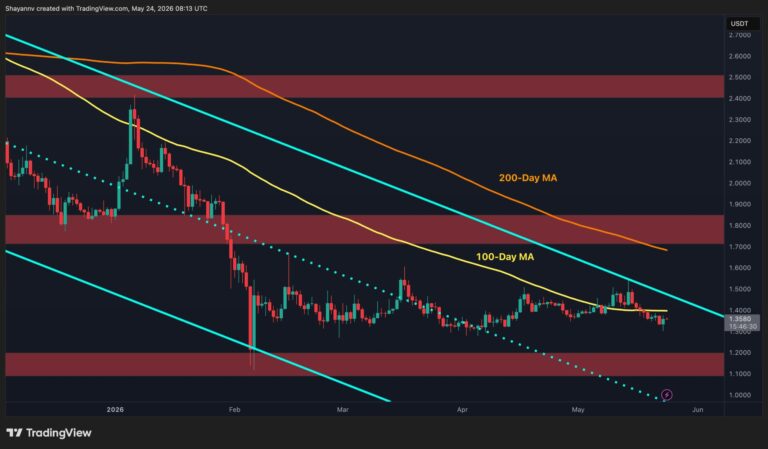 XRP-D-2-scaled.jpg