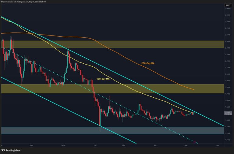 XRP-D.jpg
