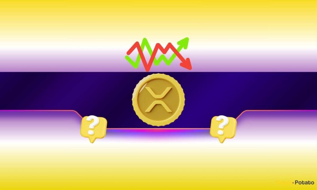 XRP_CB-18.jpg