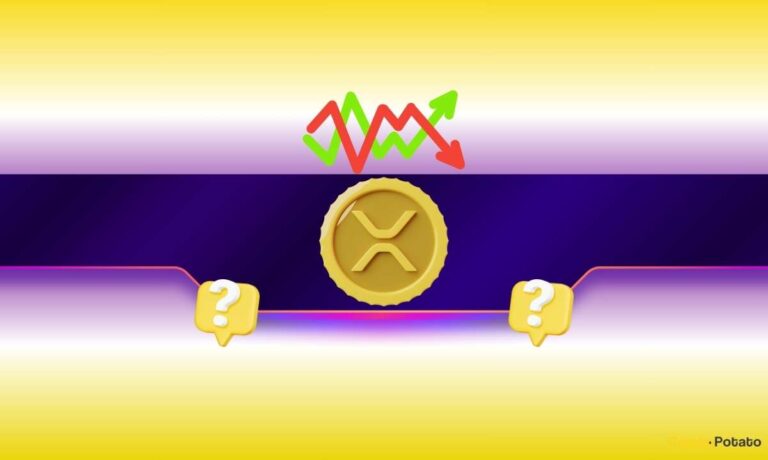XRP_CB-18.jpg
