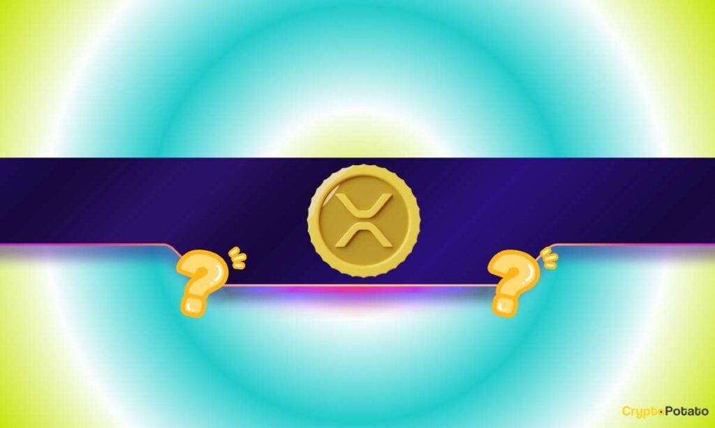 XRP_CB-4.jpg