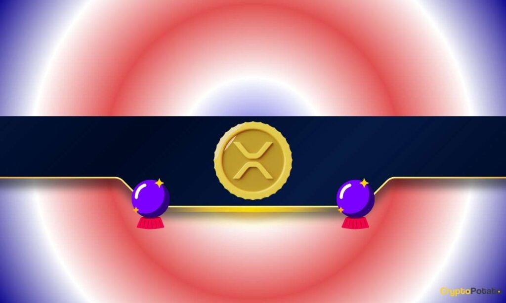 XRP_CB-7.jpg