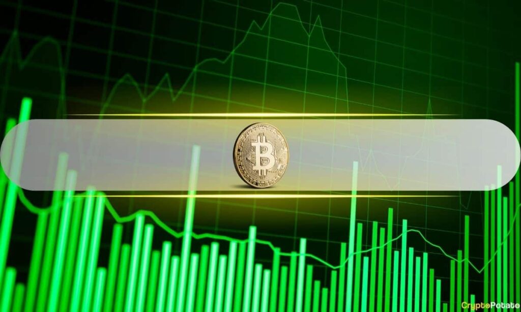 bitcoin_greenchart_cover.jpg