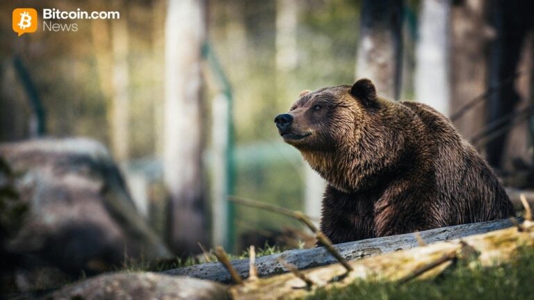 cryptoquants-ki-young-ju-warns-bitcoins-bear-market-could-run-into-early-2027.jpg