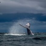 ethereum-whale-dumps-20000-eth-for-41-18m-in-a-single-hour-as-2000-support-comes-into-view.jpg