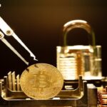 the-ascent-of-zec-the-arma-bill-and-more-week-in-review-1.jpg