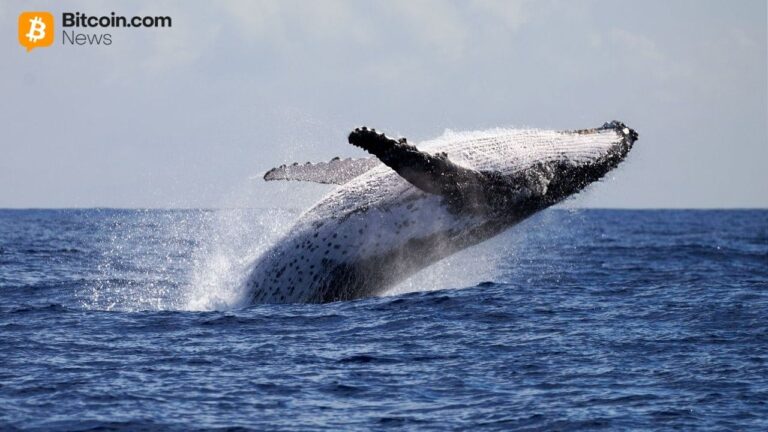 whale-dumps-100m-eth-short-pivots-to-13-4m-bitcoin-bet-at-20x-leverage.jpg