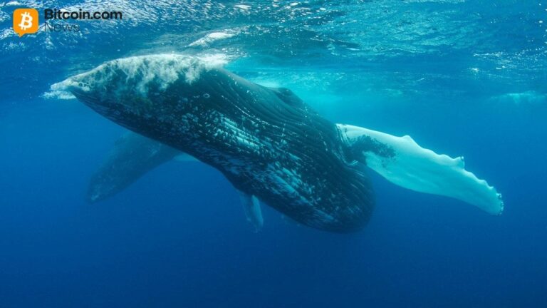whale-who-spent-62m-on-uniswap-and-compound-tokens-is-now-selling-at-a-39-7m-loss2.jpg