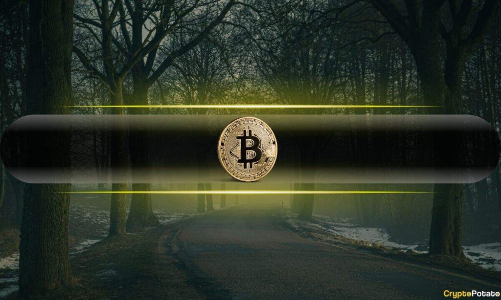 1782342017_Bitcoin_Darkness.jpg