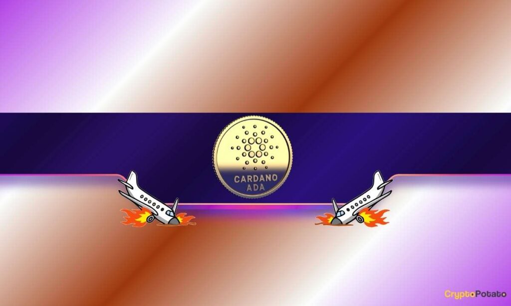 ADA_CB-4.jpg