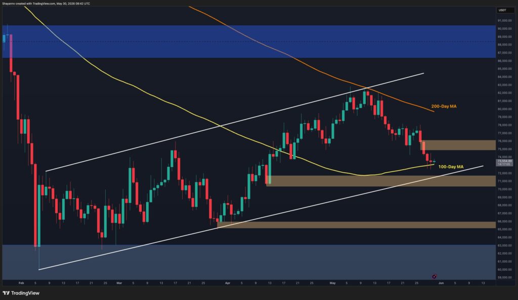 BTC-D-12.jpg