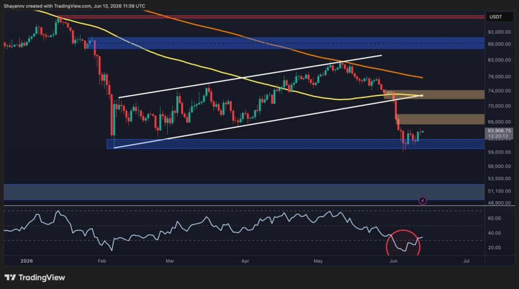 BTC-D-5-scaled.jpg