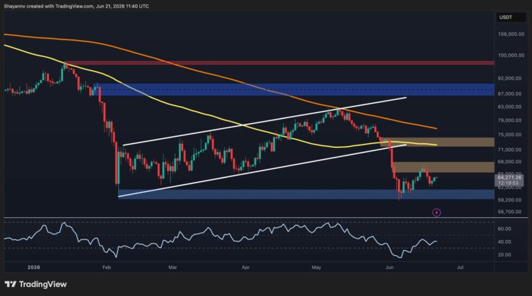 BTC-D-9-scaled.jpg