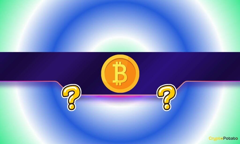 BTC_CB-18.jpg