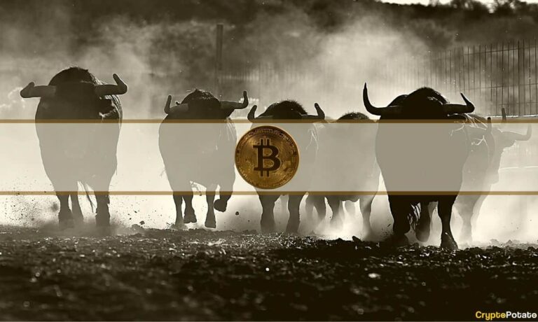 Bitcoin_Bulls.jpg