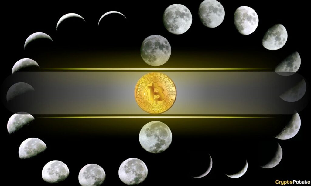 Bitcoin_Cycle.jpg