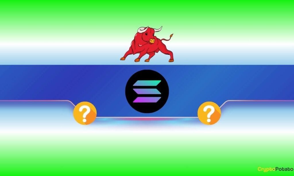 SOL_CB-5.jpg