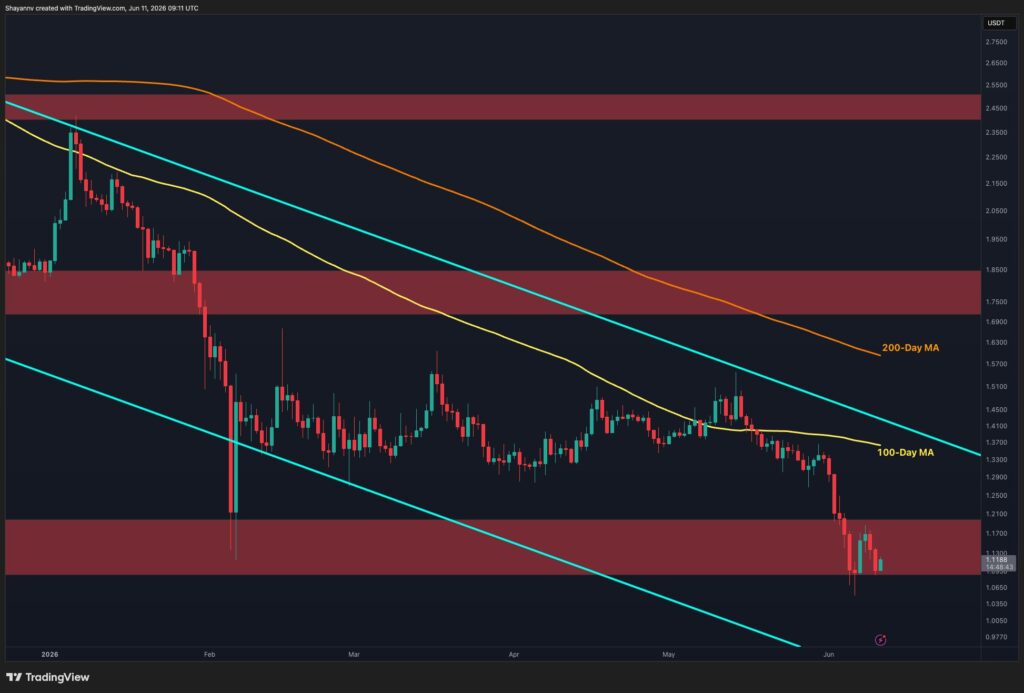 XRP-D-1.jpg