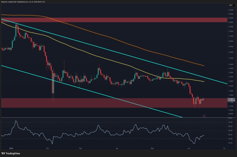 XRP-D-2.jpg