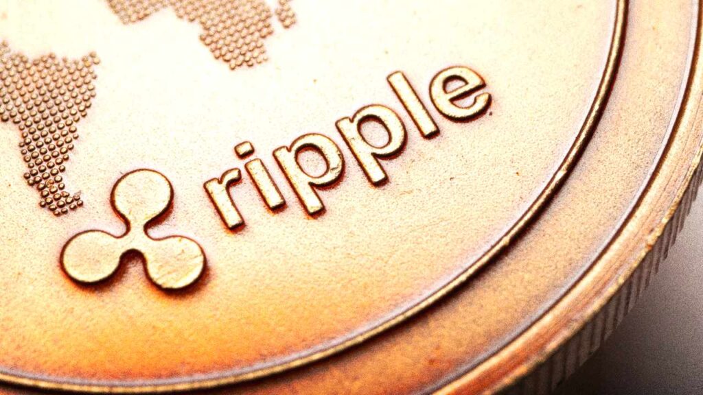 ripple-mica-license.jpg