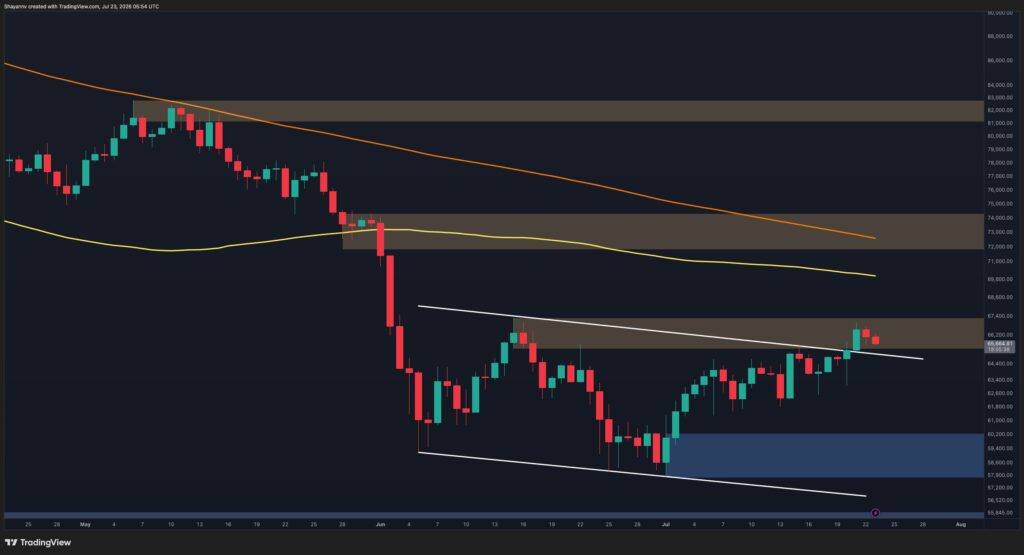 BTC-D-10.jpg