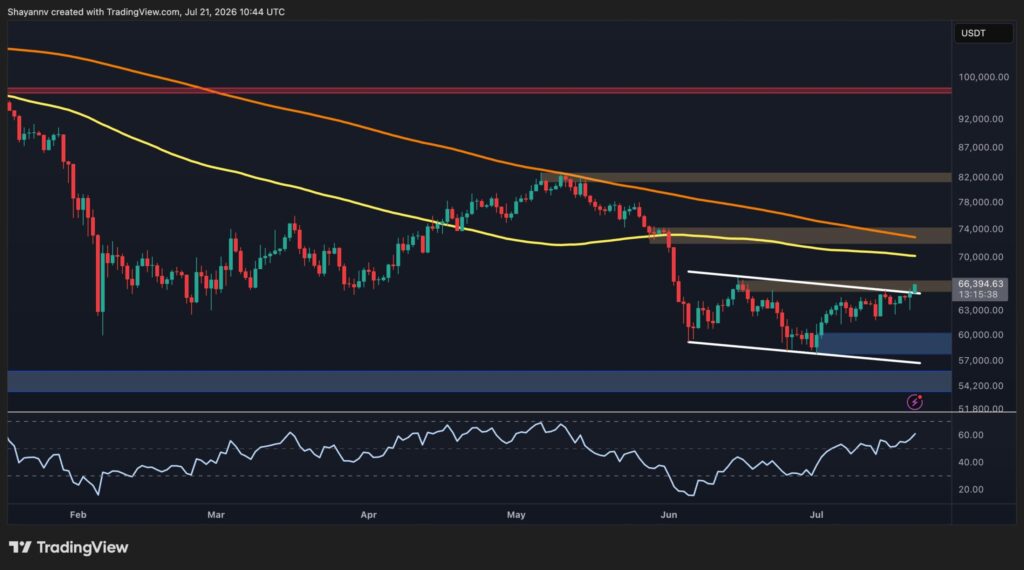 BTC-D-9-scaled.jpg