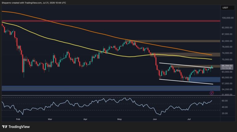 BTC-D-9-scaled.jpg