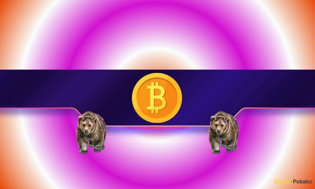 BTC_CB-13.jpg