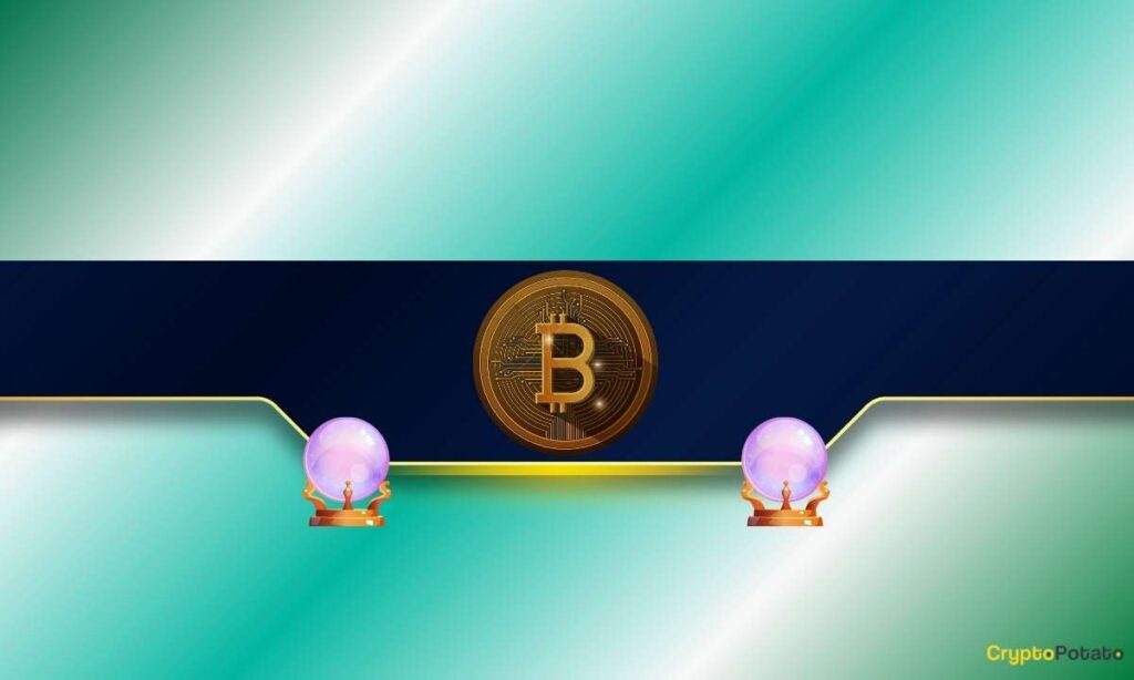 BTC_CB-4.jpg