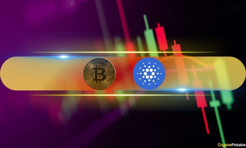 Bitcoin_Polkadot_MW.jpg