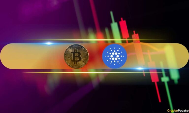 Bitcoin_Polkadot_MW.jpg