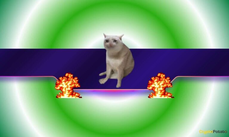 CASHCAT_CB.jpg