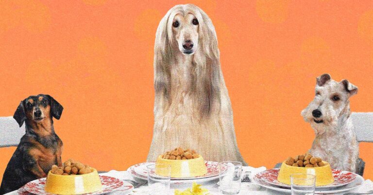 CookedMeal4Dogs_v1.jpg