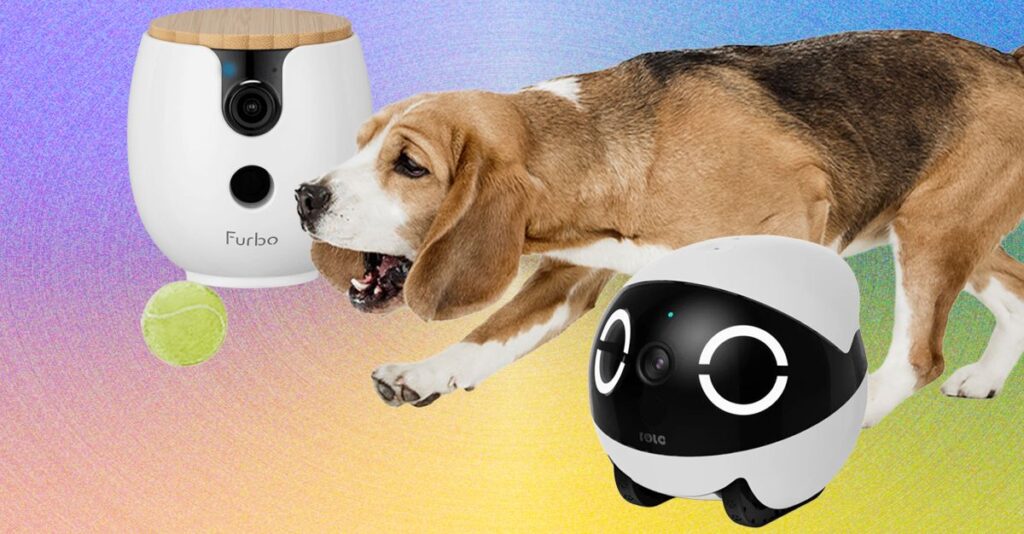 The-Best-Pet-Cameras-of-2026.jpg